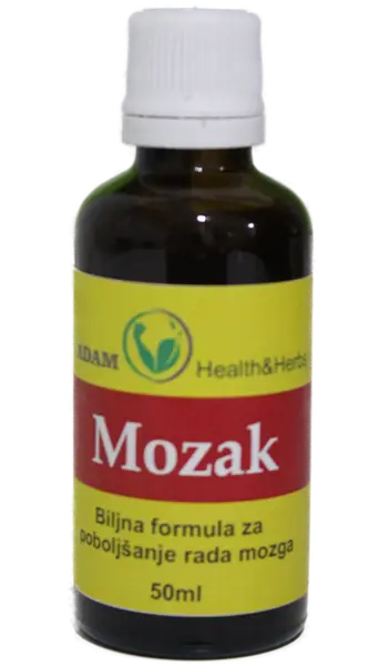 Mozak
